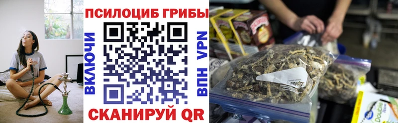 сайты даркнета Telegram купить наркоту blacksprut рабочий сайт Снежногорск Галлюциногенные грибы Psilocybe