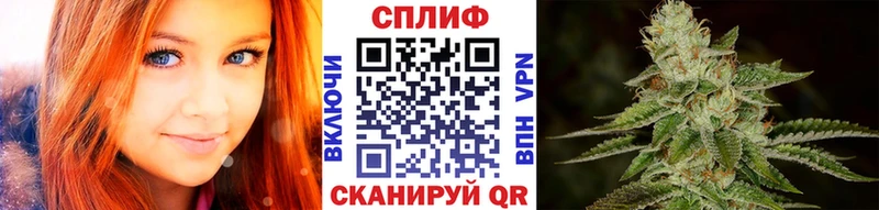 кракен tor  Снежногорск  Шишки марихуана Ganja 